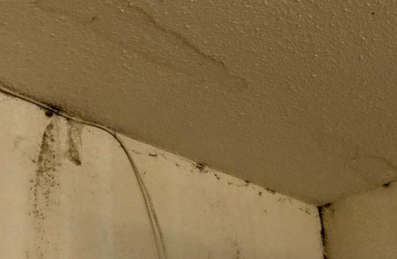 About Martin: His Story Should Never Have Happened on Roosevelt Island Visible ceiling leak makes floors slippery and feeds mold creeping down the wall.